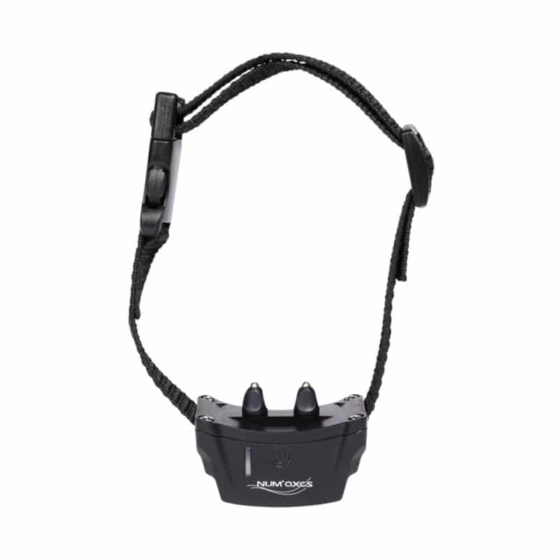 Eyenimal - Dog - Classic Fence - Extra collar