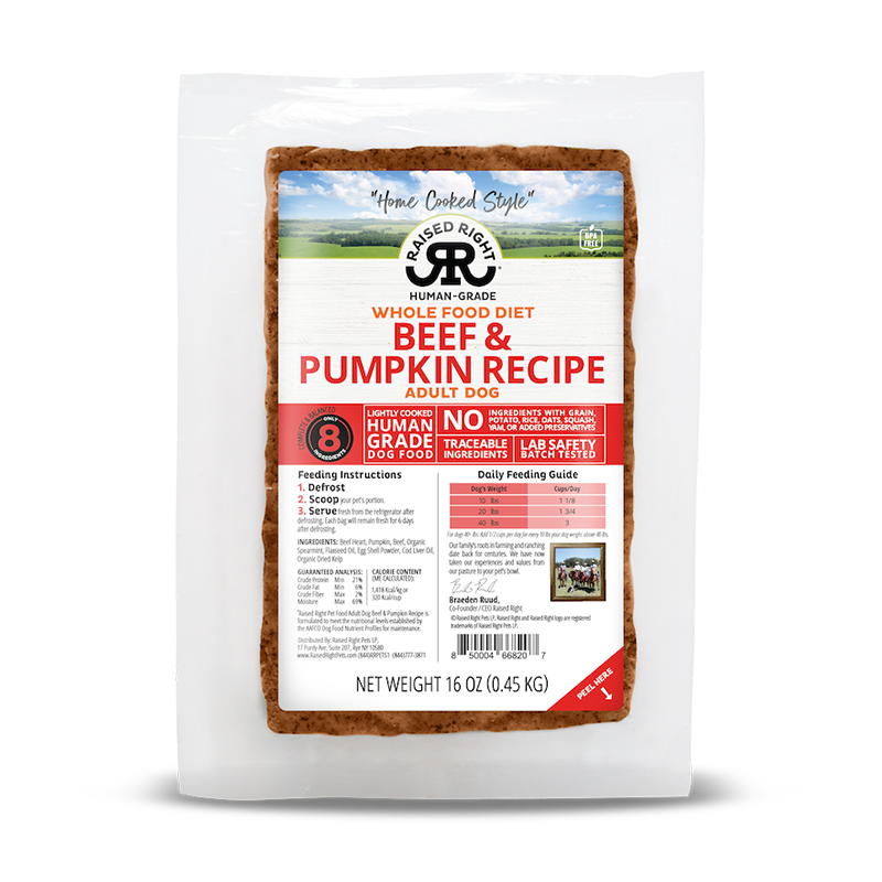 Raised Right - Adult Dog - Frozen - Beef with Pumpkin - 16oz (Case of 8)