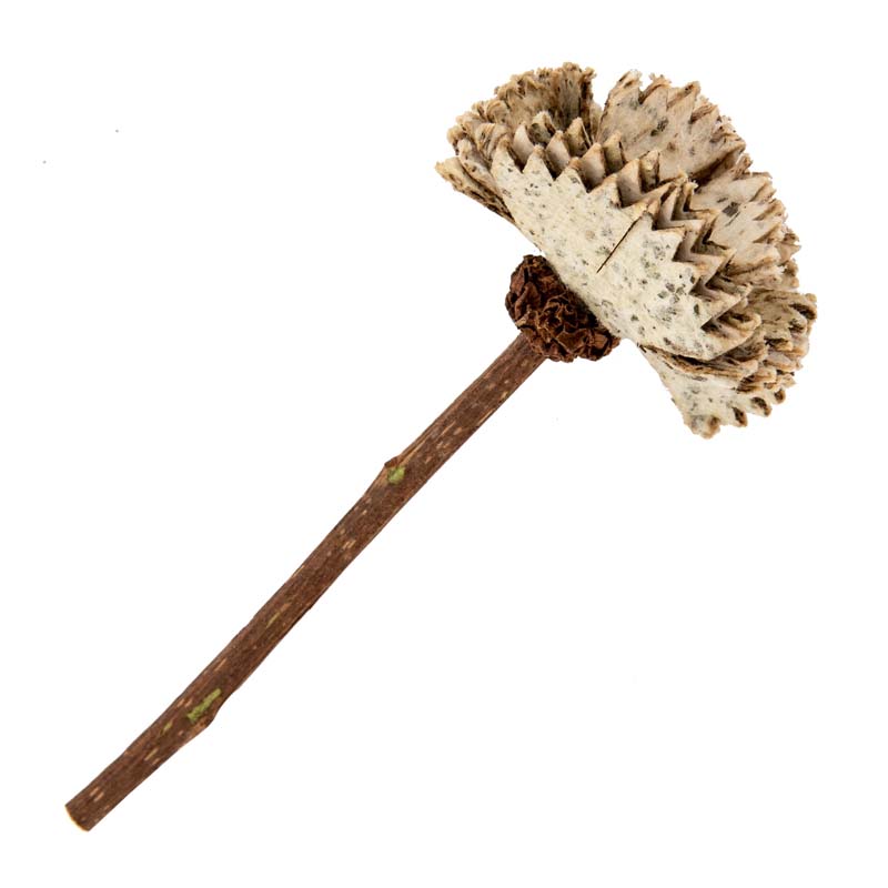 Natural Cat Toy - Catnip - Toy - Paper - Flower