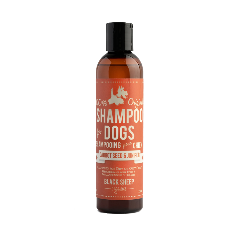 Black Sheep Organics - Carrot Seed & Juniper Organic Shampoo