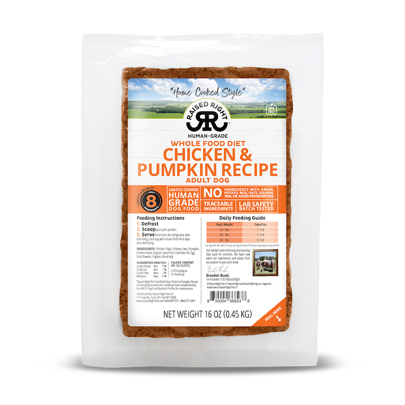 Raised Right - Adult Dog - Frozen - Chicken with Pumpkin - 16oz (Case of 8)
