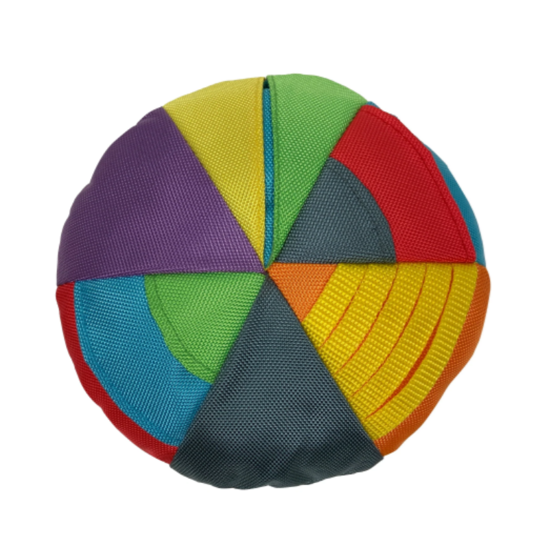 FoufouBRANDS - Hide n Seek Disc - Nose work - Multi