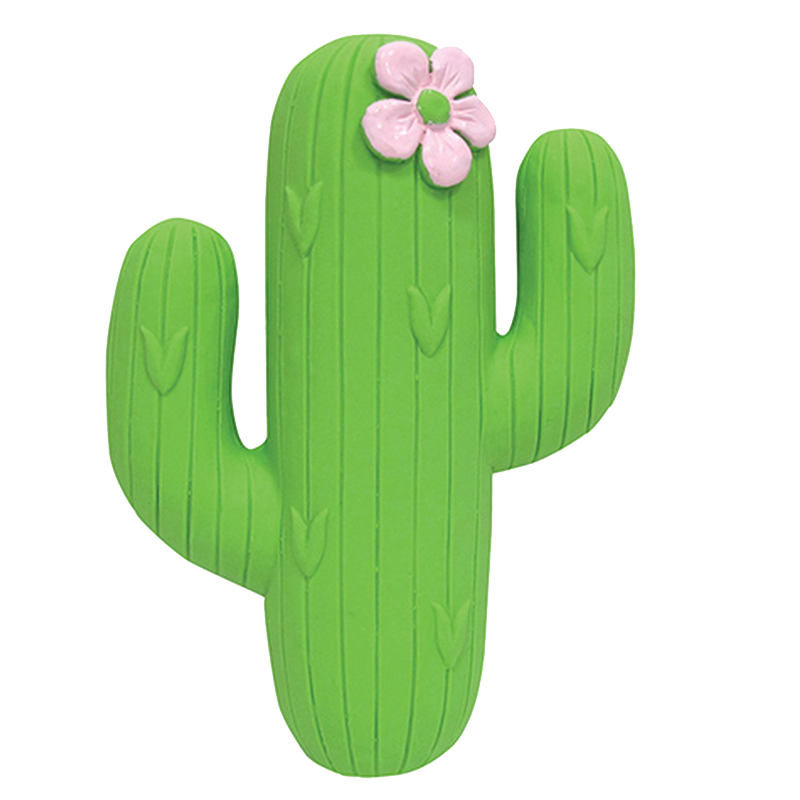 FoufouBRANDS - Fiesta Chew - Cactus