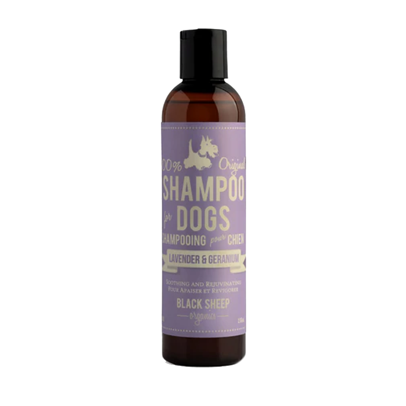 Black Sheep Organics - Lavender & Geranium Organic Shampoo