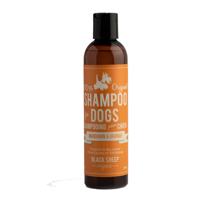 Black Sheep Organics - Mandarin & Orange Organic Shampoo