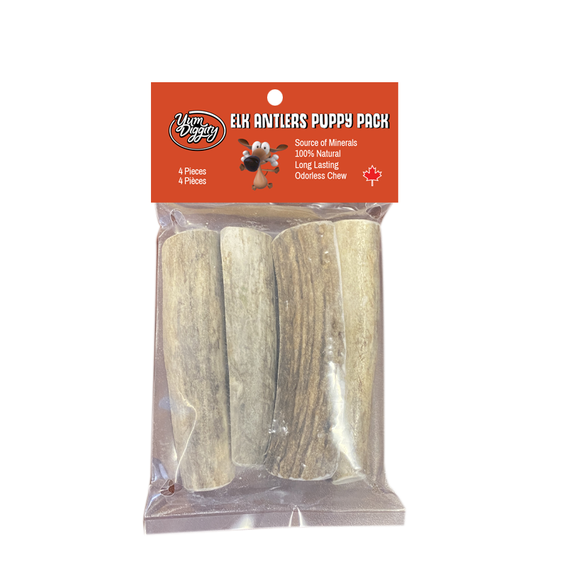 Yum Diggity - Puppy Antler Pack