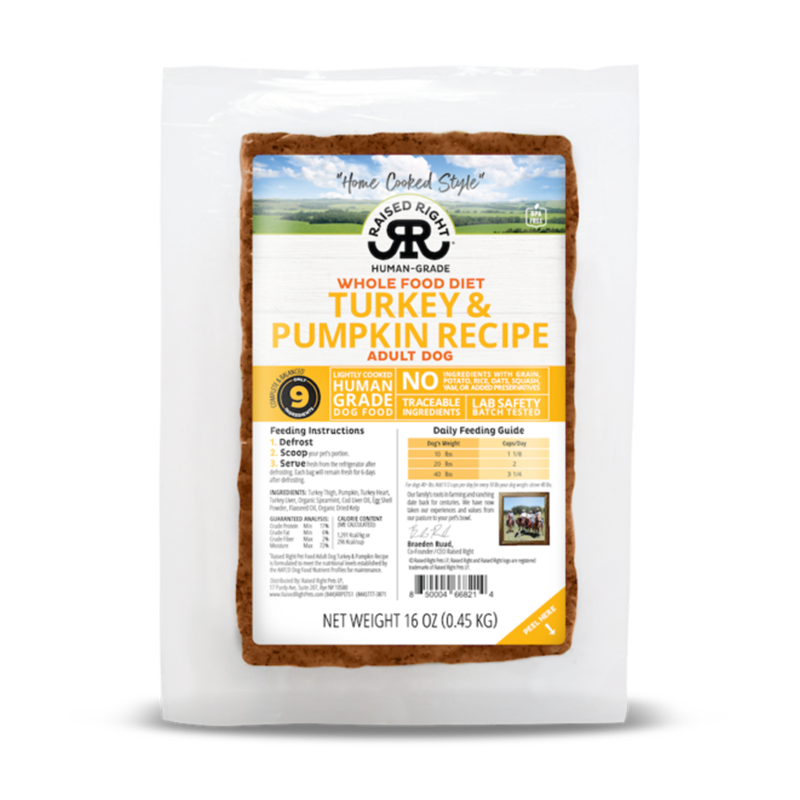 Raised Right - Adult Dog - Frozen - Turkey with Pumpkin - 16oz (Case of 8)