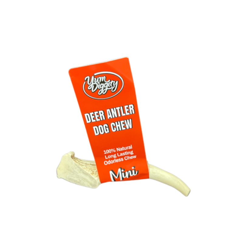 Yum Diggity - DEER Whole Antler Chew