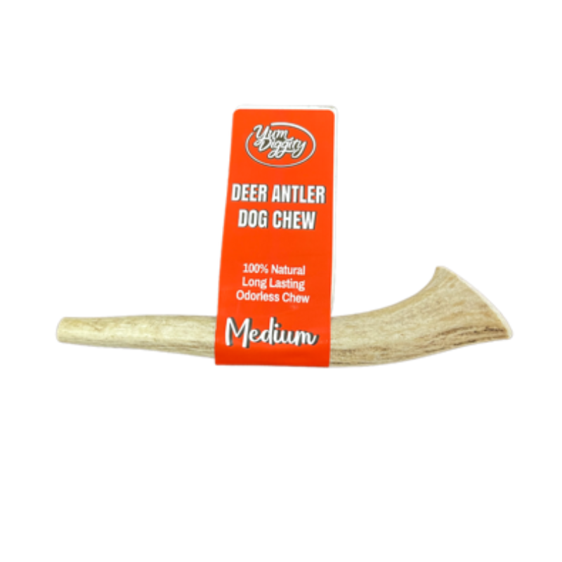 Yum Diggity - DEER Whole Antler Chew