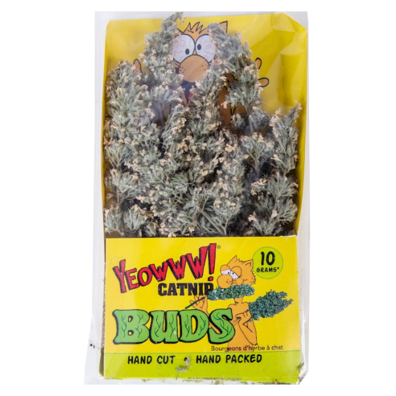 Yeowww! - Catnip - Buds