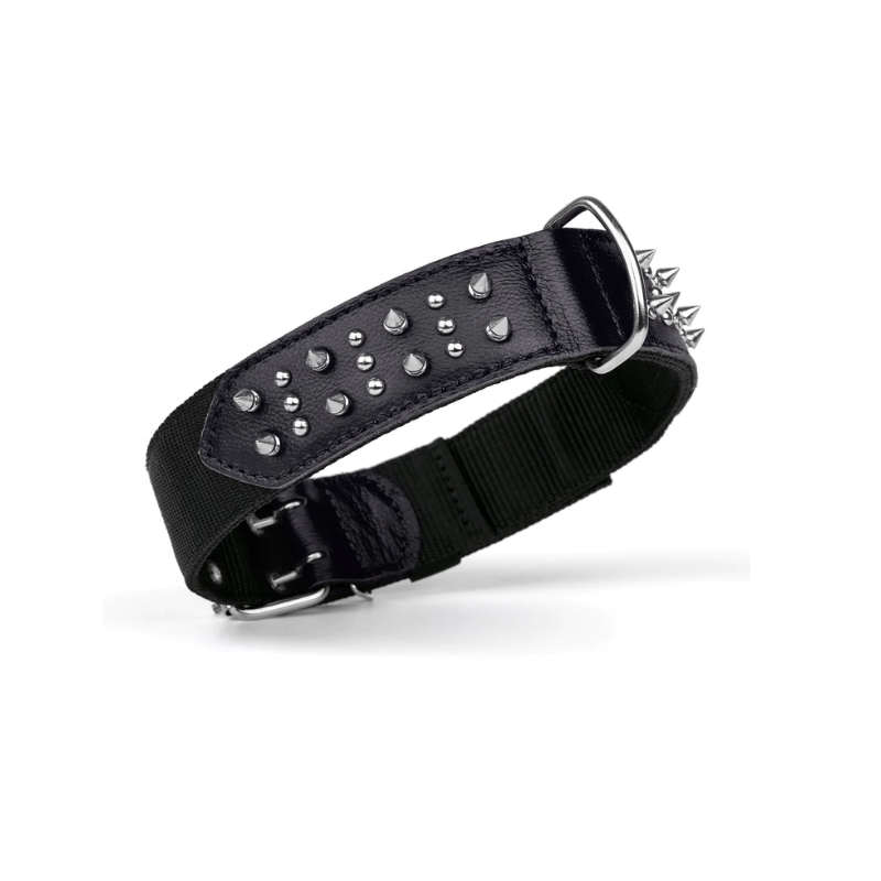 DOGLINE - Collar - Leather/Nylon with Spikes (Black) - 3/4" x 20"-25"
