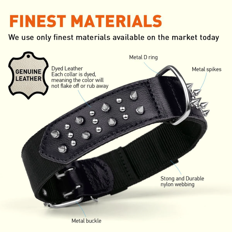 DOGLINE - Collar - Leather/Nylon with Spikes (Black) - 3/4" x 20"-25"