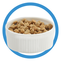 Carna4 - Dry Food