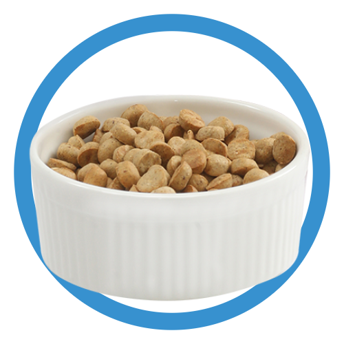 Carna4 - Dry Food