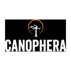 Canophera