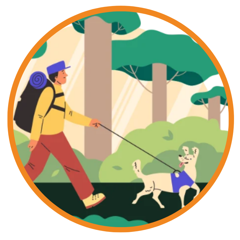 Hiking Collection