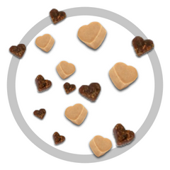 Bocce's Training Bites