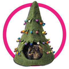 Dharma Dog Karma Cat-Holiday