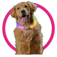 NITE IZE - Accessories