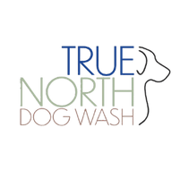 TRUE NORTH