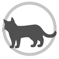 Sunday Pets Cat Food