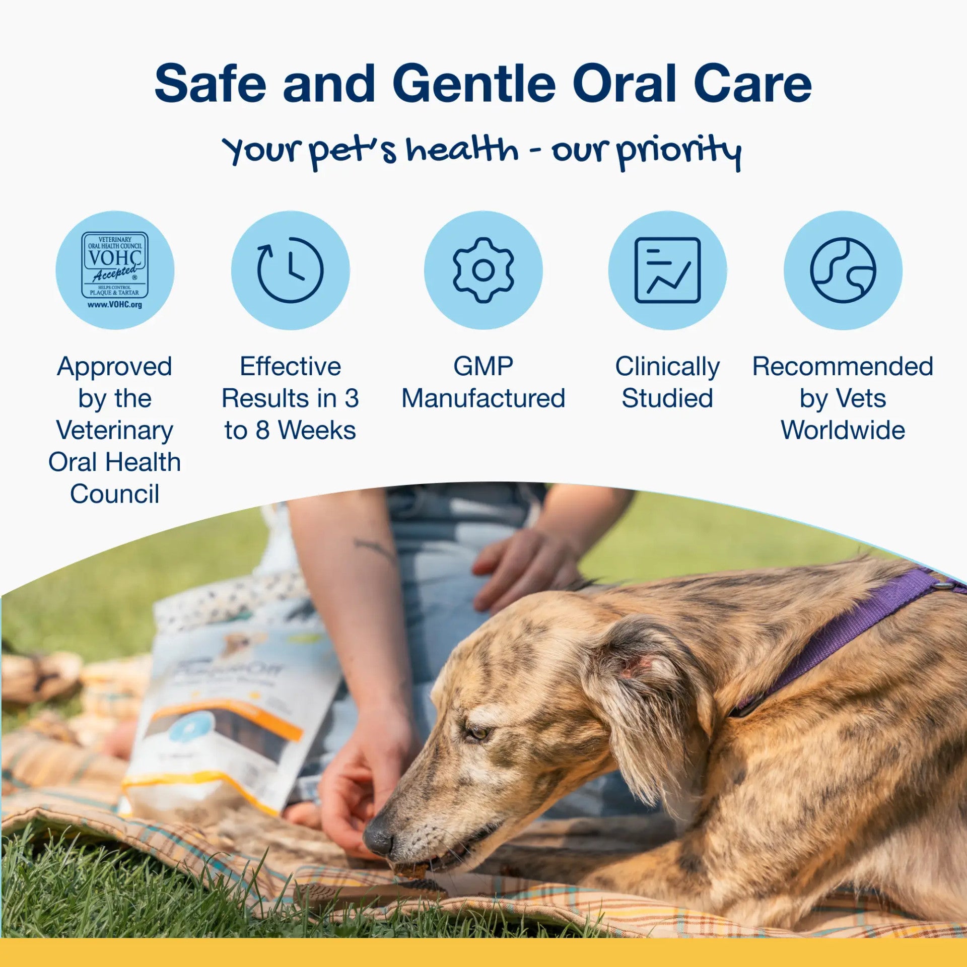 Plaque Off - Dental Care Bones - Mini - Peanut Butter and Banana