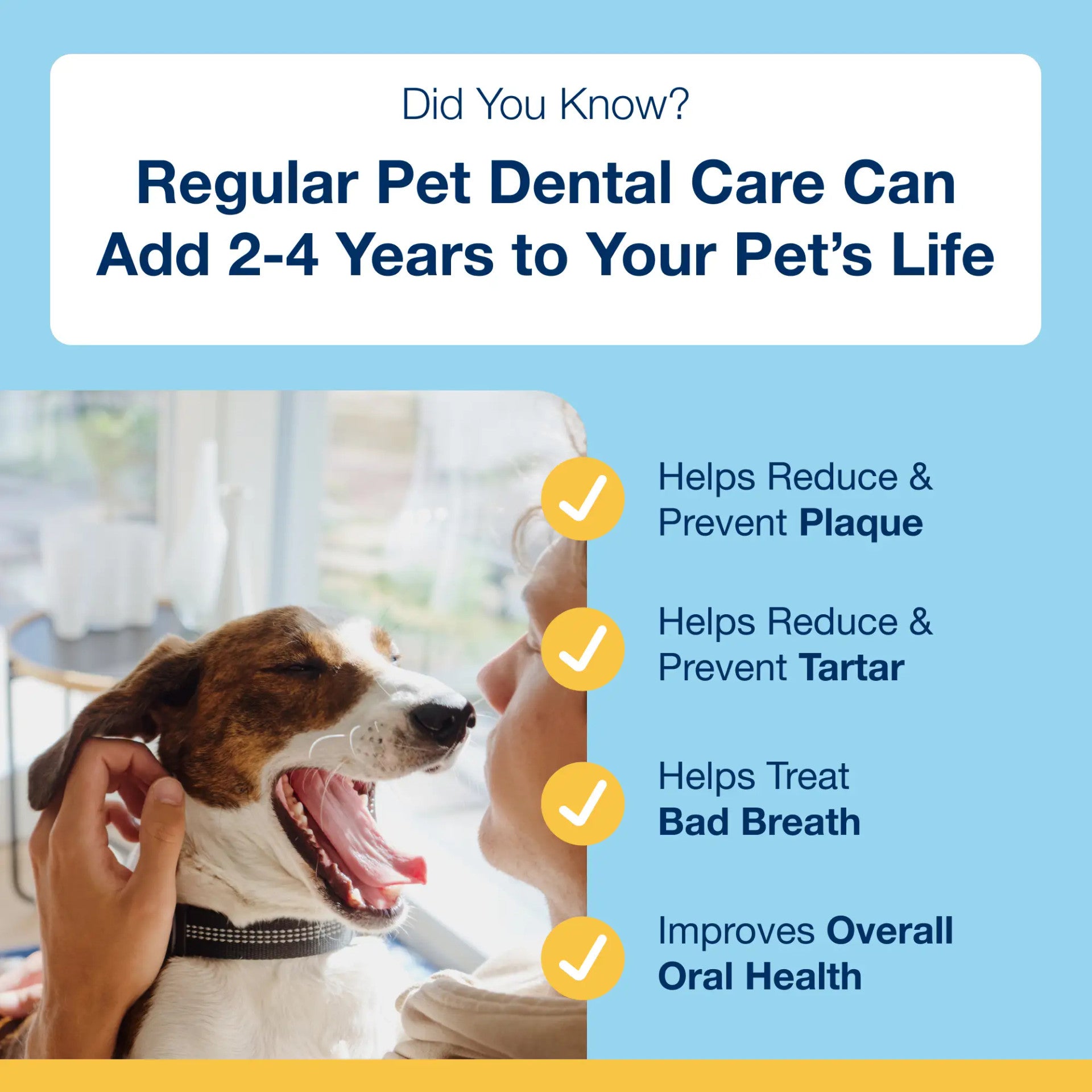 Plaque Off - Dental Care Bones - Bacon