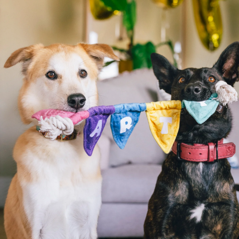 PLAY - Party Animal - Party Flags