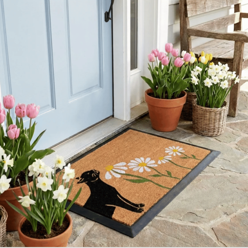 4 Cats & Dogs - Door Mat - Spring - Sniffing Daisies - Cat