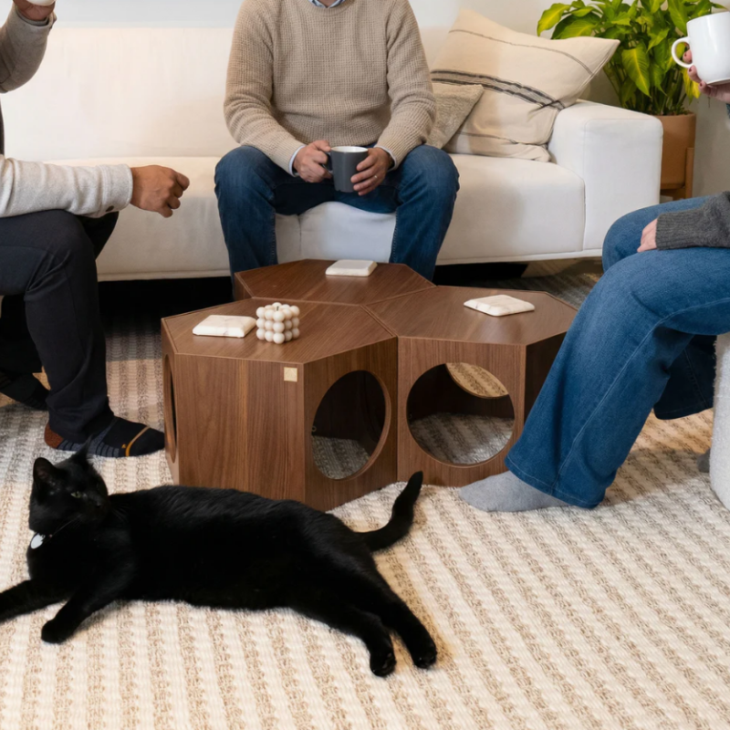 4 Cats & Dogs - Suki - cat stool and shelf