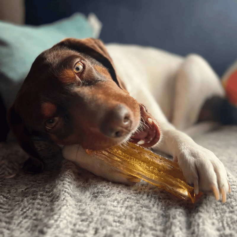 Wag & Bright - Mighty Marrows - Collagen Dental Chews - Pork & Parsley