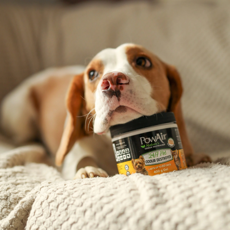 PowAir - Odour Destroyer - 24/7 Pet - Gel - 400g