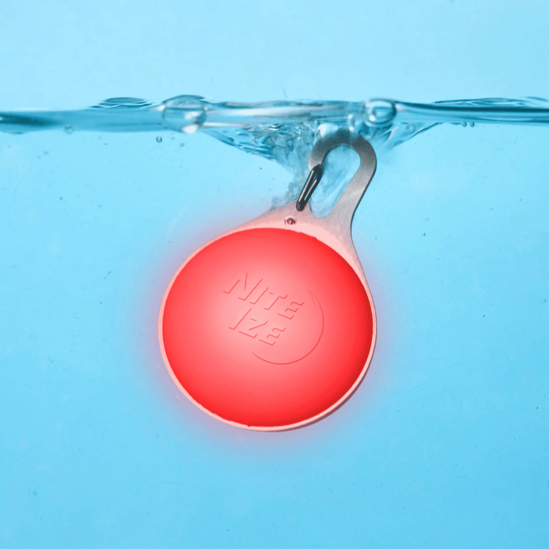 NITE IZE - Spotlit Splash - Rechargeable Collar Light Disc-O-Tech - Waterproof