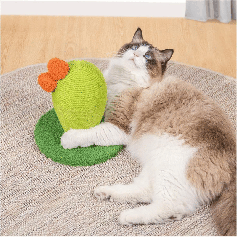 One For Pets - Cat Scratcher - Catcus - Mini