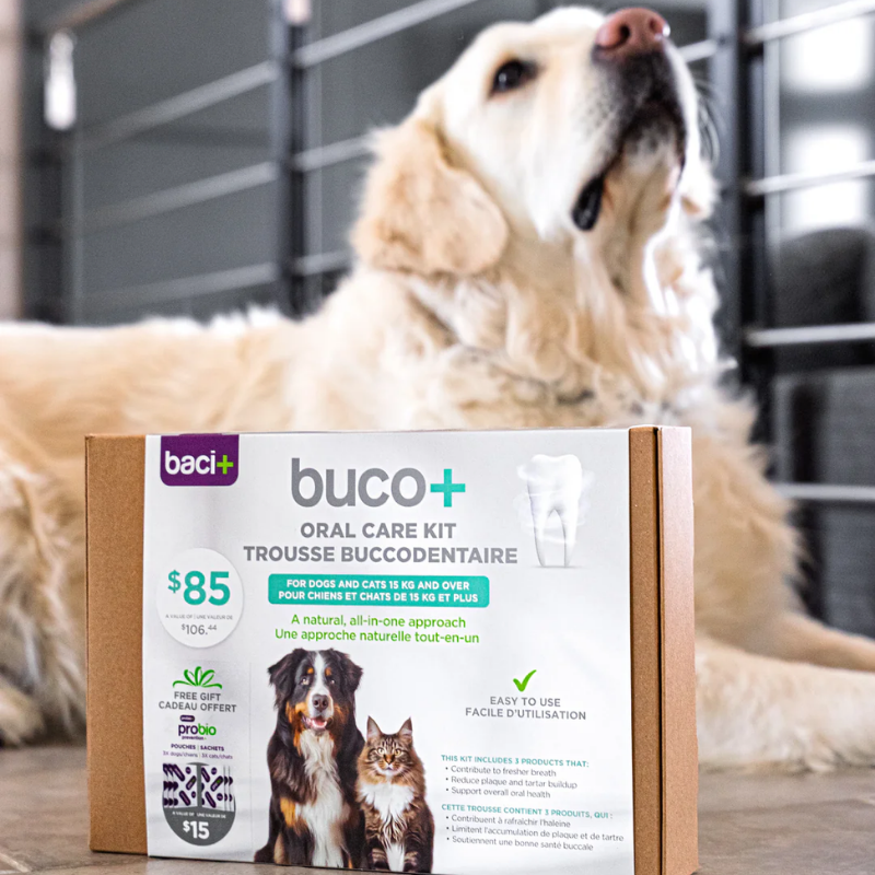 Baci+ - Buco+ - Oral Care Kit