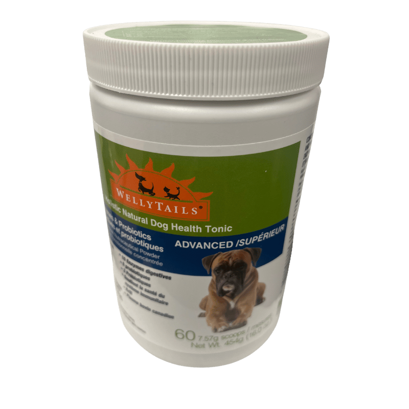 Welly Tails - Digestion Enzymes & Probiotics Advanced