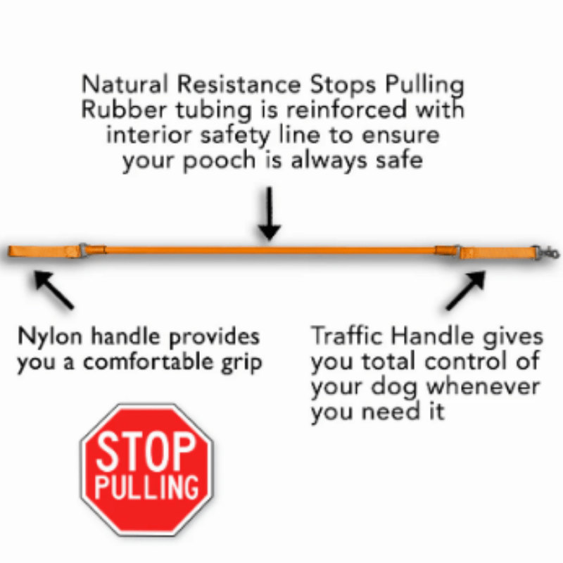 Wacky Walk'r - Leash - Walk'r (Original)