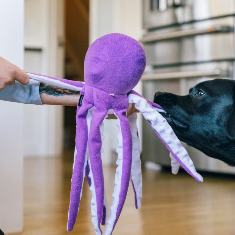 PLAY - Ocean Buddies - Octopus - Large