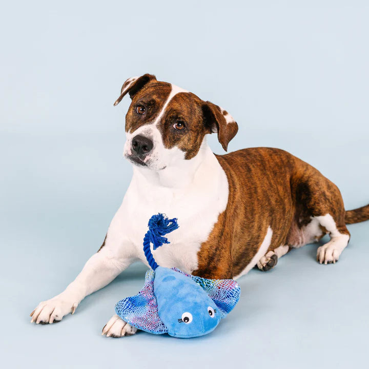 Fringe Studio - Do The Right Sting - Plush Dog Toy