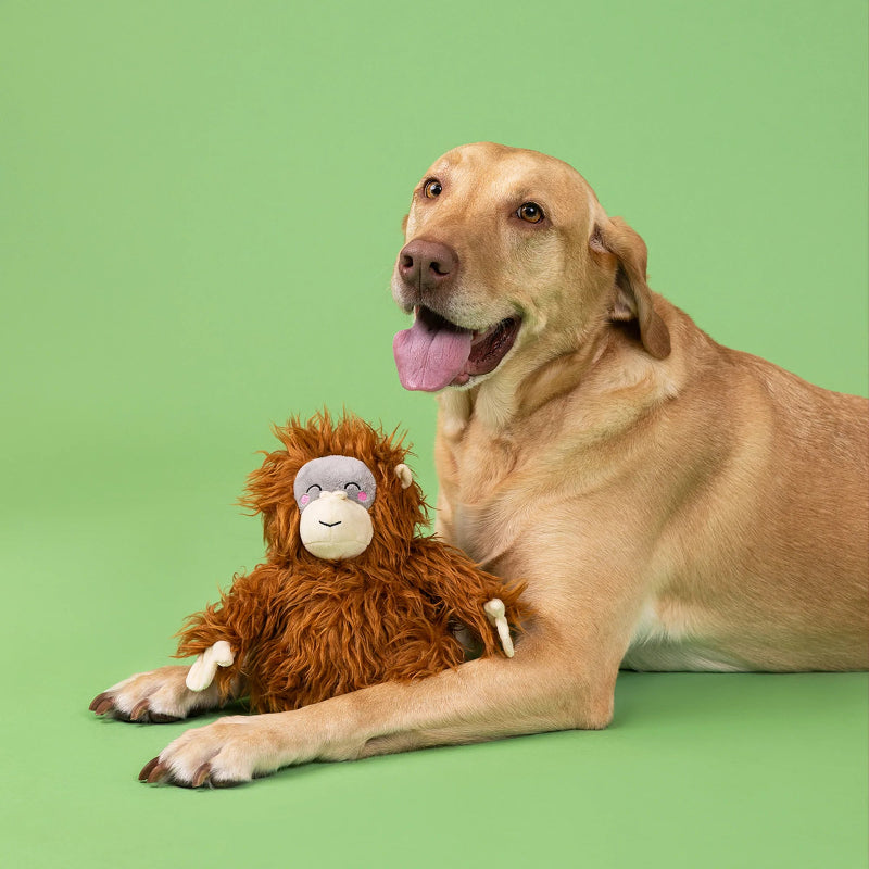 Fringe Studio - Dog - Toy - Plush - Oranga Hug
