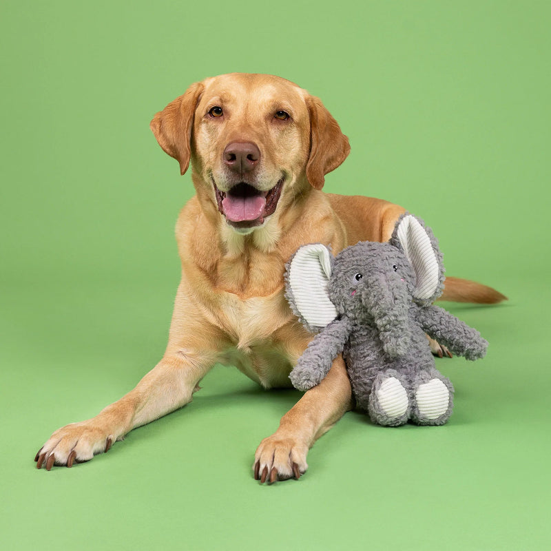 Fringe Studio - Dog - Toy - Plush - Love You A Ton