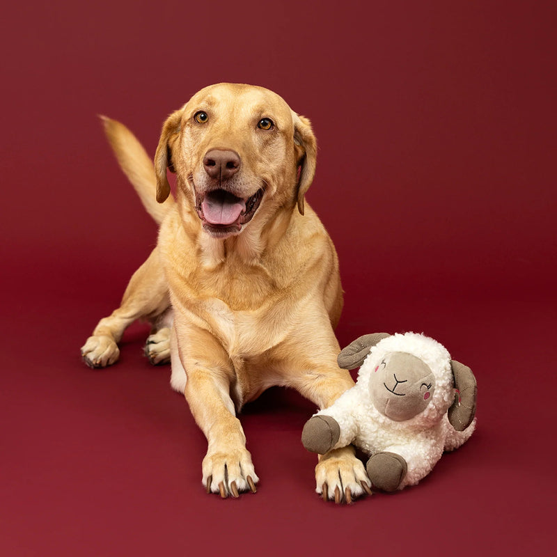 Fringe Studio - Dog - Toy - Plush - You Herd Me