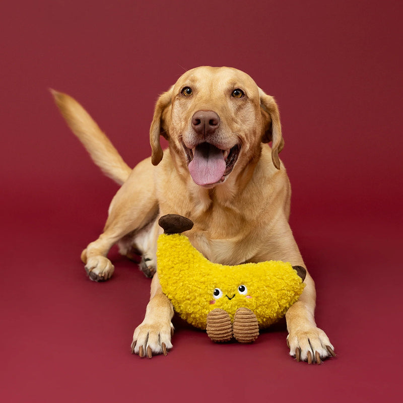 Fringe Studio - Dog - Toy - Plush - Head Over Peels for You