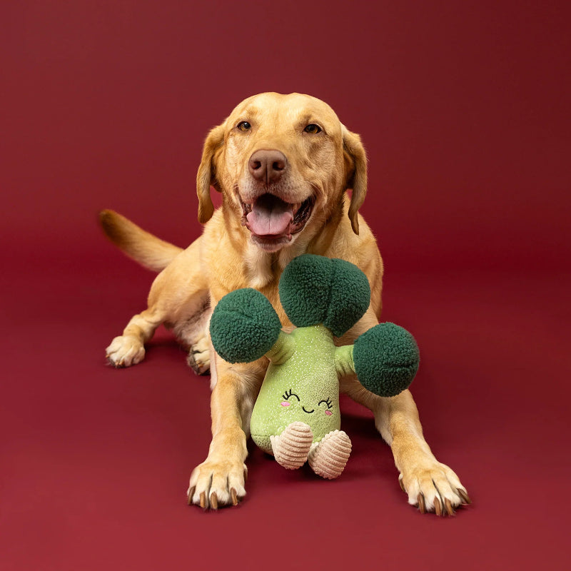 Fringe Studio - Dog - Toy - Plush - Brocc Star