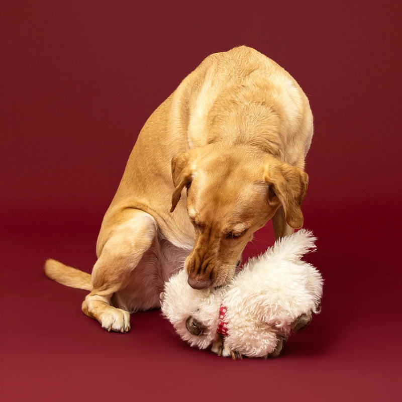 Fringe Studio - Dog - Toy - Plush - Hair Today Cuddle Tomorrow