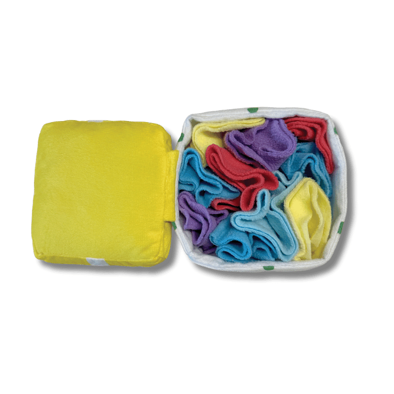 FoufouBRANDS - Snuffle - Hide'n Seek - Birthday Present