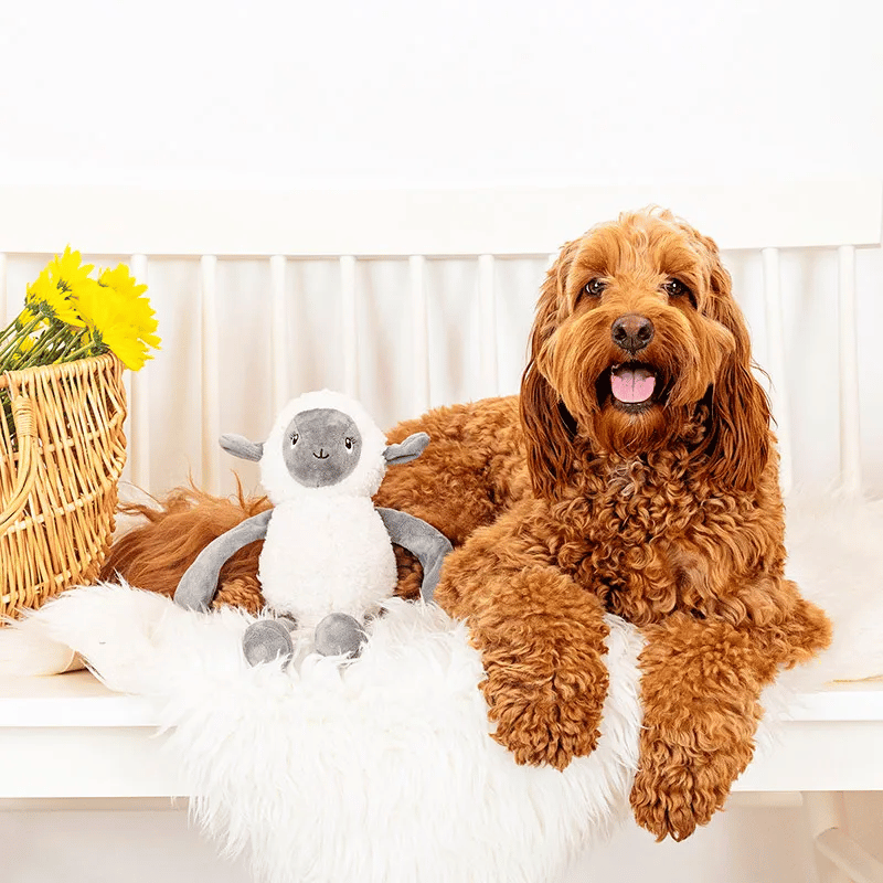 Fringe Studio - Little Lamby