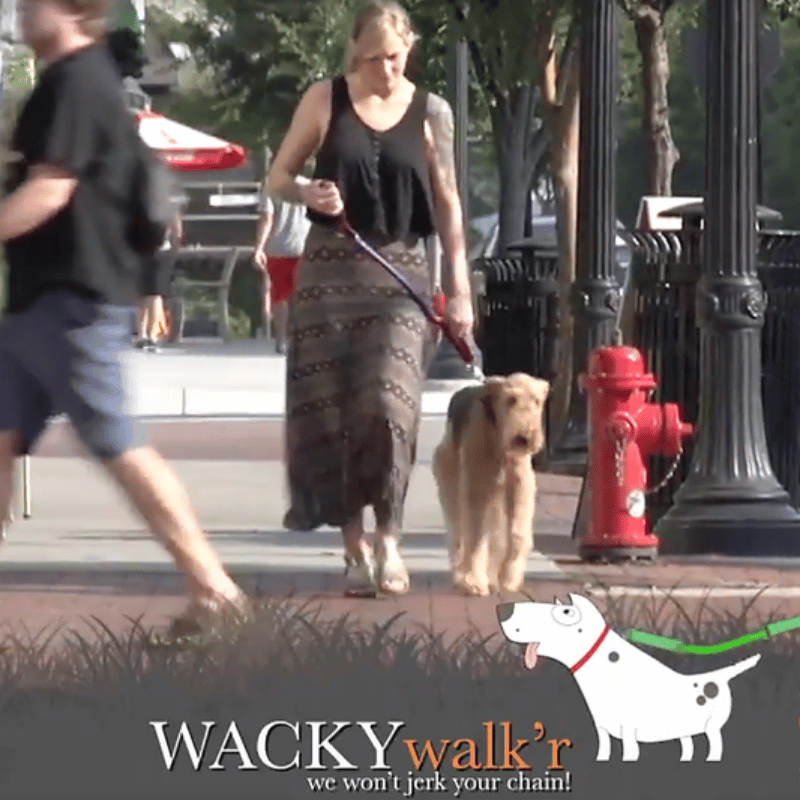 Wacky Walk'r - Leash - Walk'r (Original)