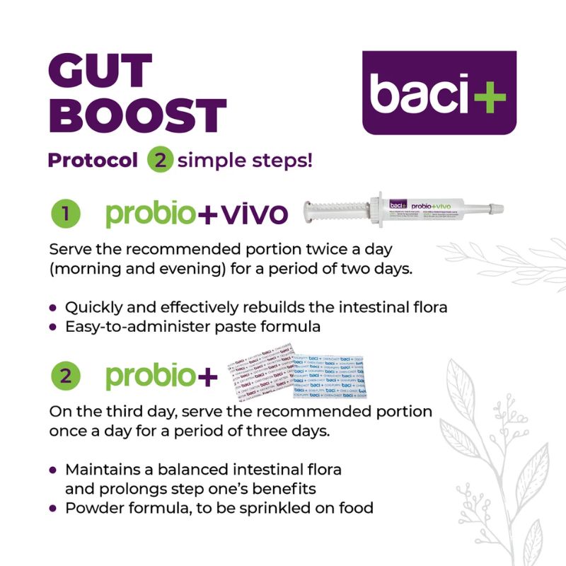 Baci+ -Probio+ - Intestinal Gut Boost - Cat - 27g
