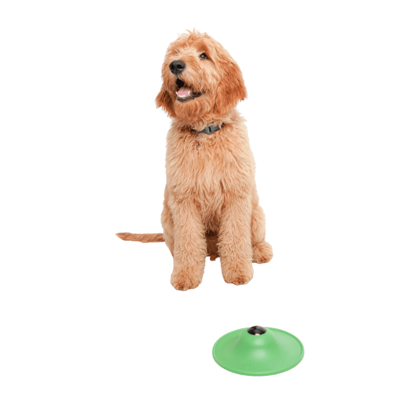 Stashios - Soothing Saucer